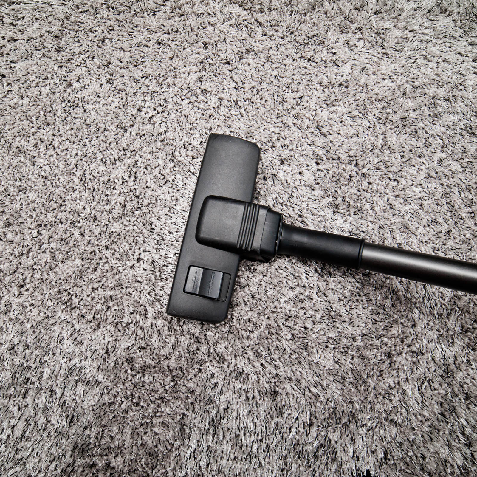 Carpet cleaning | Knova's Carpet