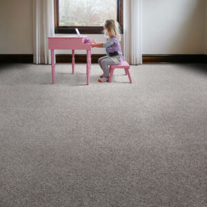 carpet in home | Knovas Carpet | Sioux City, IA