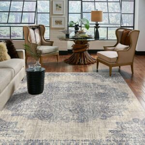 Area rug in living room | Knova's Carpet