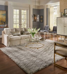 Area rug in modern living room | Knova's Carpet