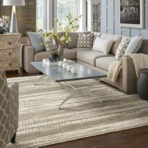 Area rug in modern living room | Knova's Carpet